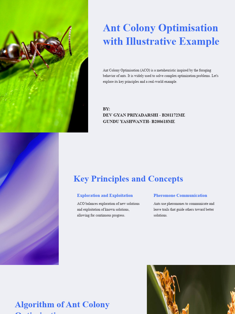 Ant Colony Optimisation Ant Colony Optimisation