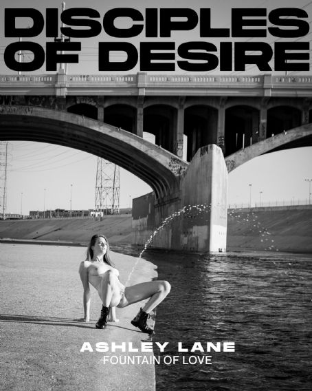 The Ultimate Ashley Lane Guide: 7 Tips