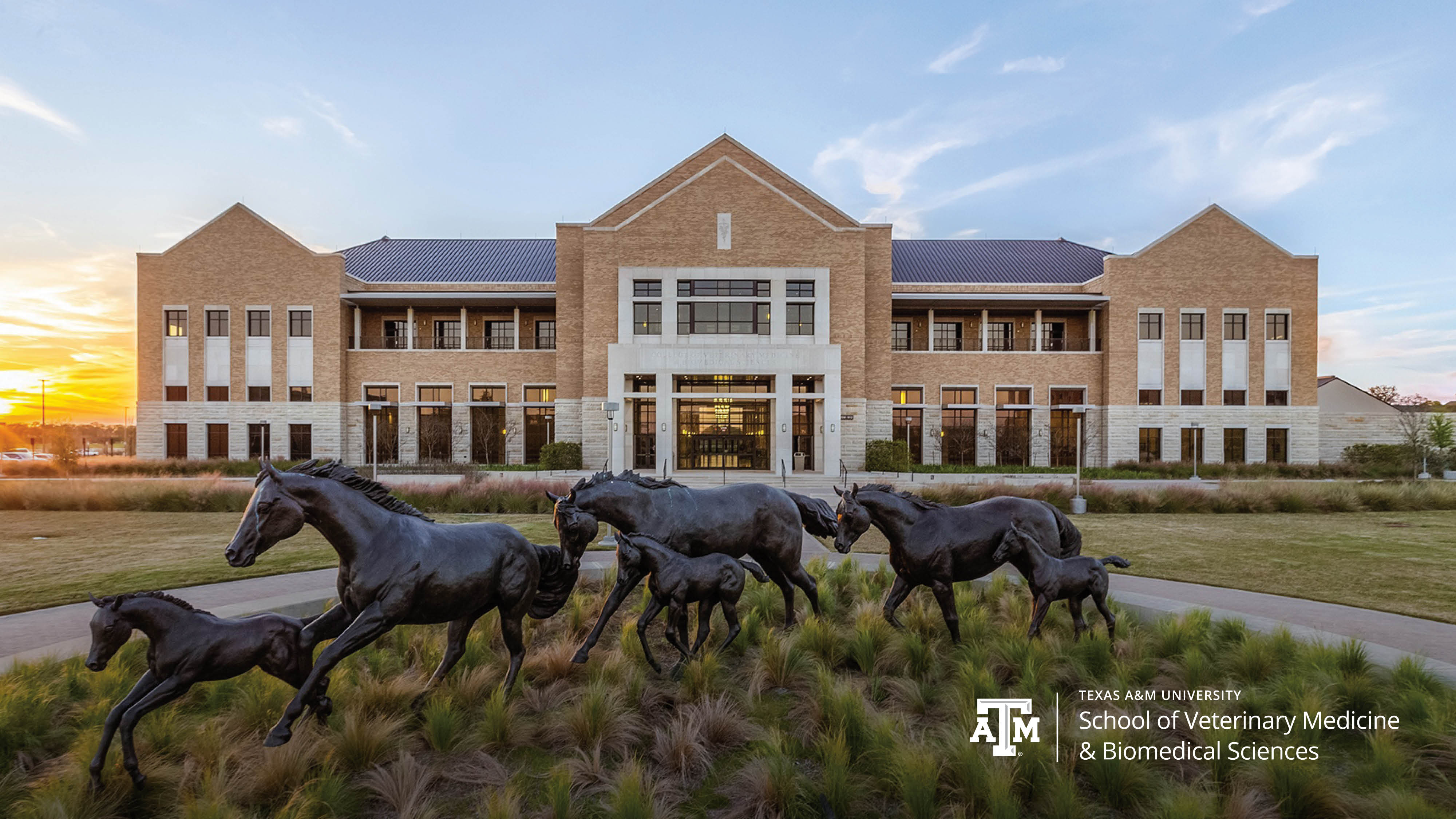 Best Vet Schools In America Mnepo Pets People Best Vet Schools In America Mnepo Pets People