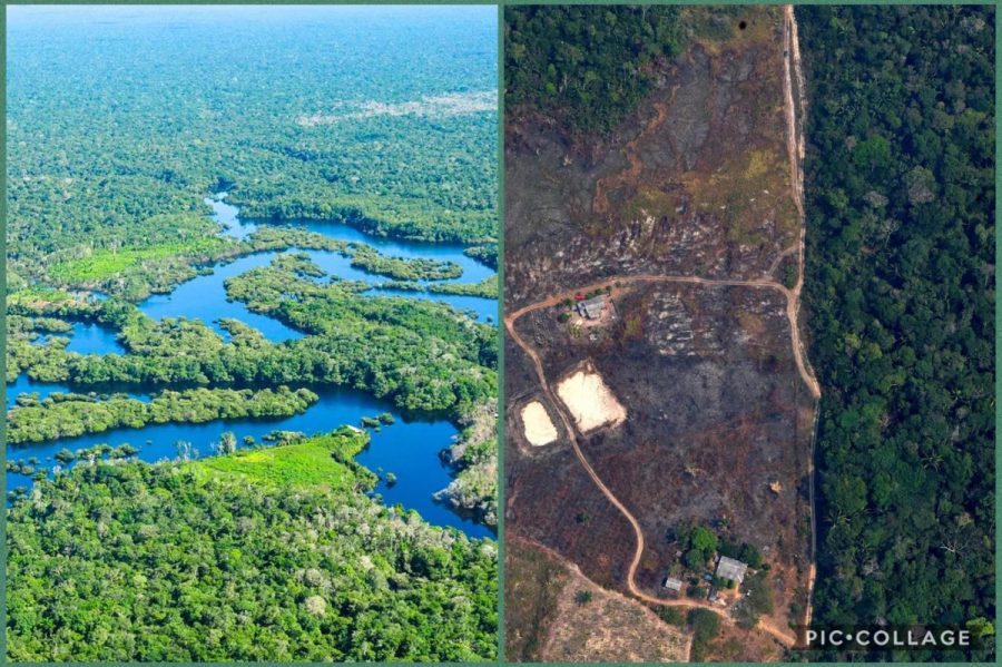 Deforestation Before And After Amazon Rainforest Deforestation Before And After Amazon Rainforest