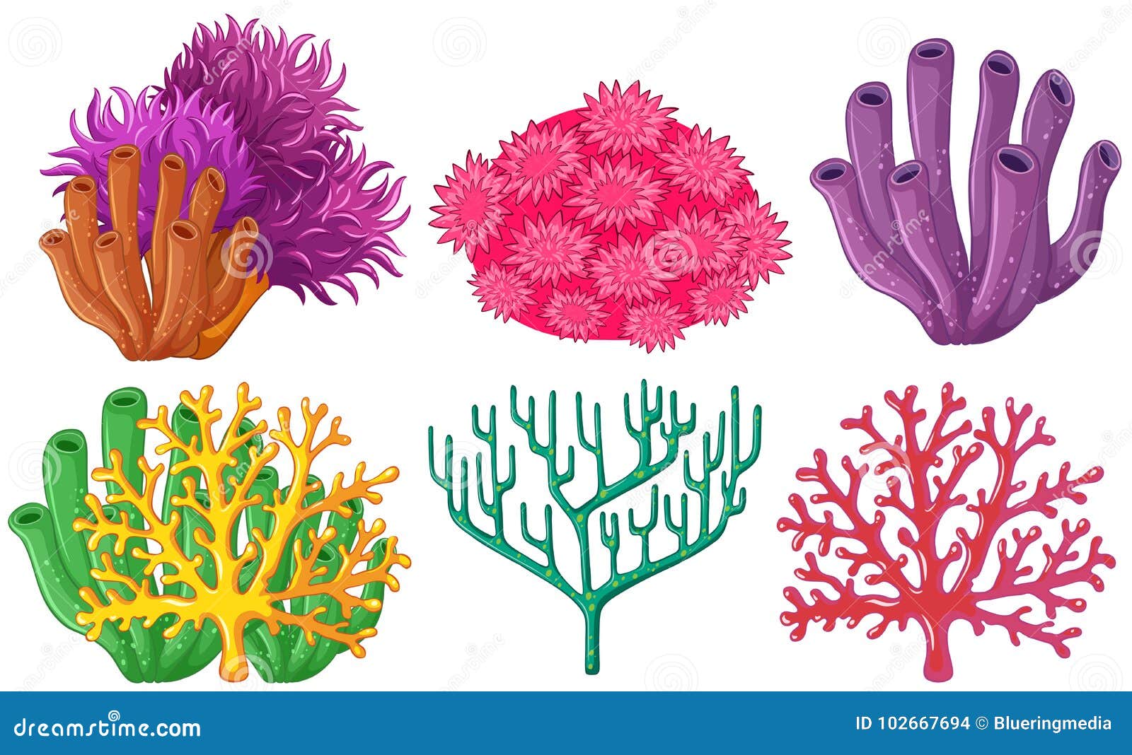 Coral Colors: Uncover 10 Types