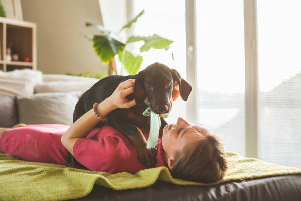 3 Steps to Untangle the Dog Knot