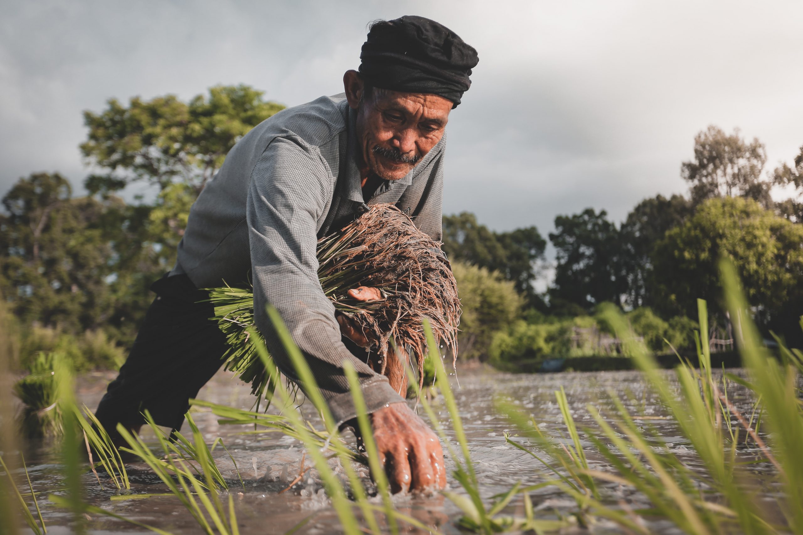 Elderly Farmers Hailed For Contributing To Food Security The Farwest Elderly Farmers Hailed For Contributing To Food Security The Farwest