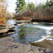 Peachtree City's Top 5 Fun Activities
