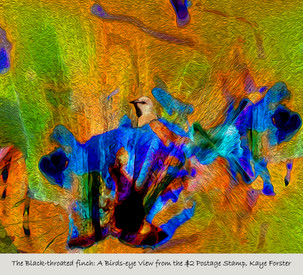 Gallery Jill Pelto Art Gallery Jill Pelto Art