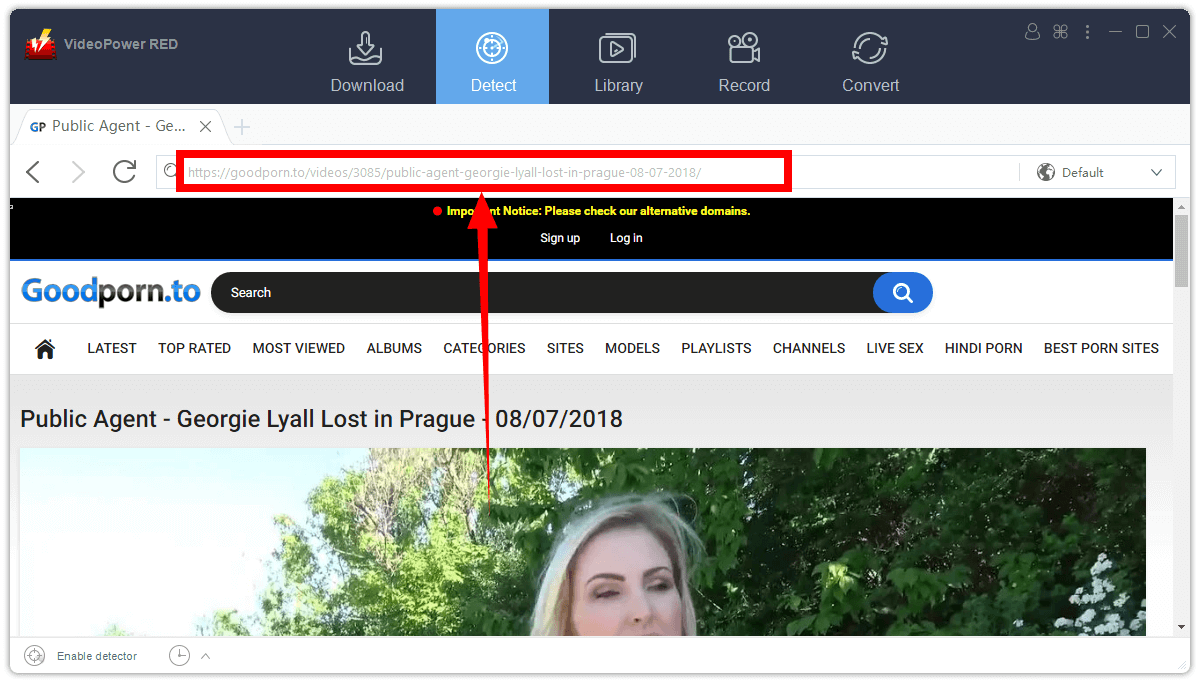 Goodporn's Online Presence: An Update