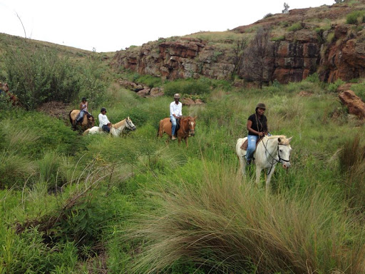 Horse Riding Adventures Cullinan 2019 All You Need To Know Before Horse Riding Adventures Cullinan 2019 All You Need To Know Before