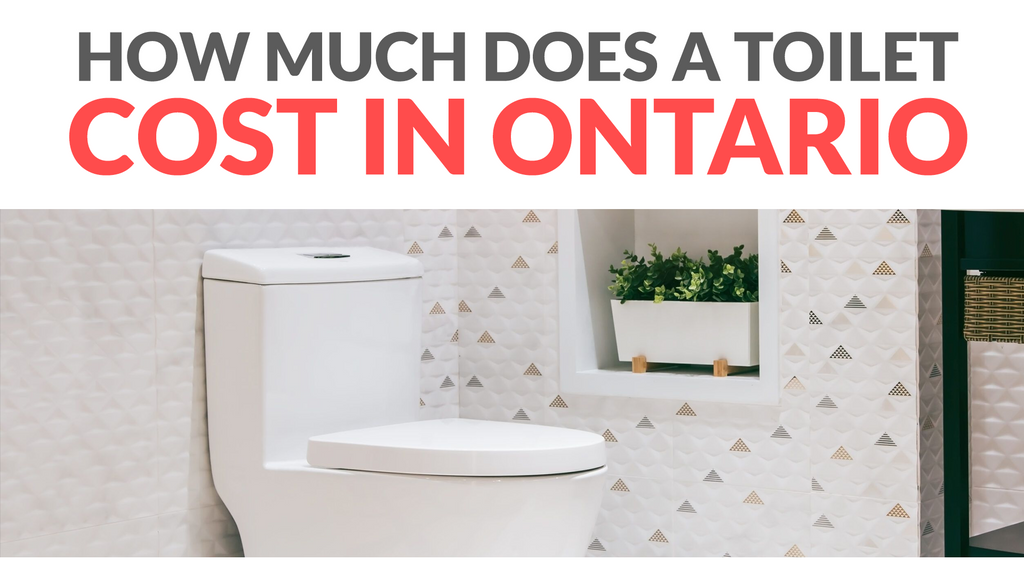 How Much Does Flushing A Toilet Cost