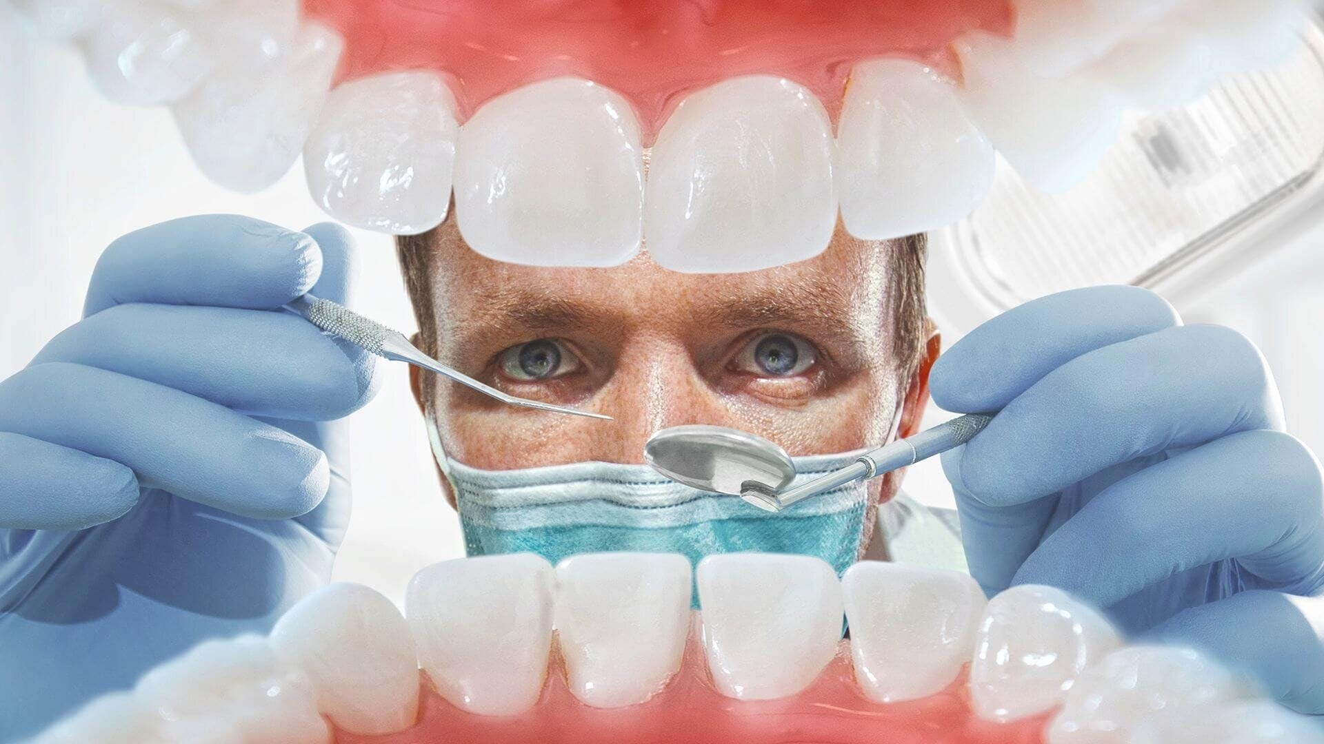 How To Find Or Choose Your Dentist Kiwi Dental Office How To Find Or Choose Your Dentist Kiwi Dental Office