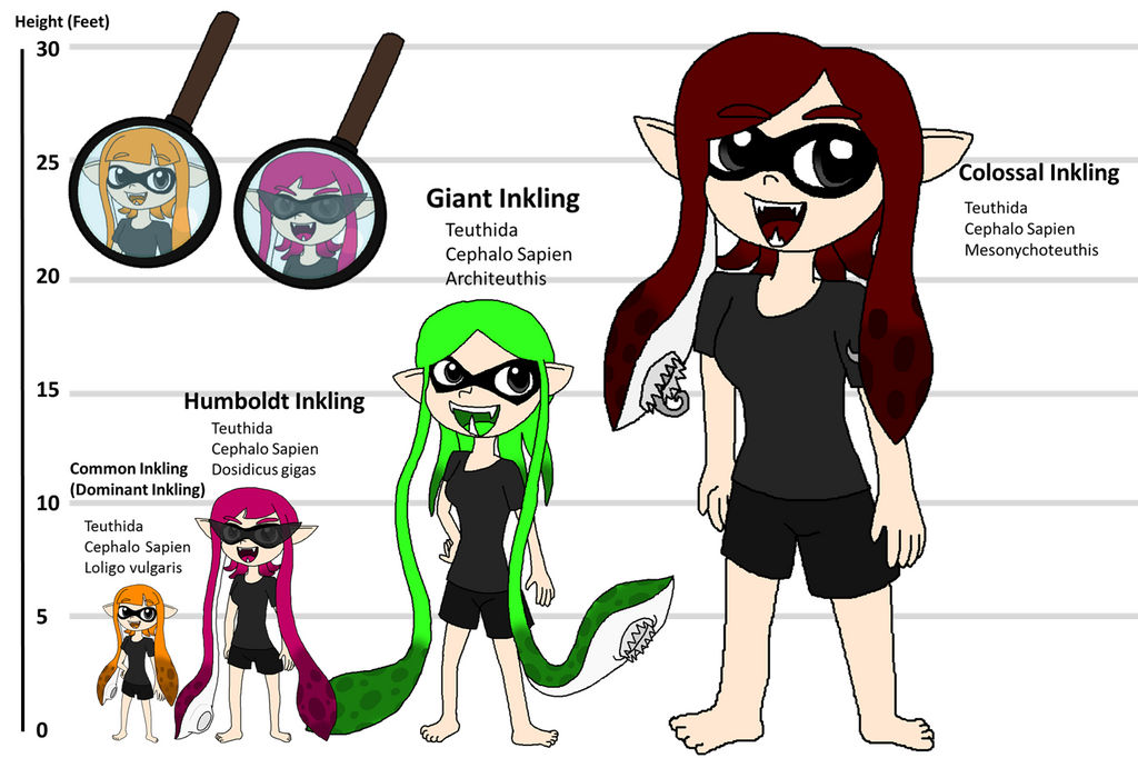 Inkling Subspecies And Size Chart By Rotommowtom On Deviantart Inkling Subspecies And Size Chart By Rotommowtom On Deviantart