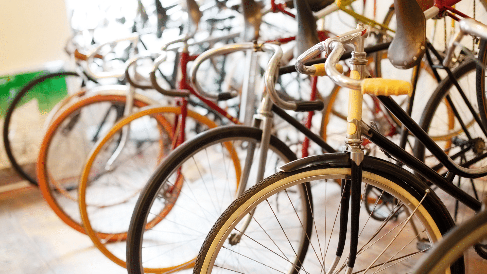 Princeton Bicycle Shop