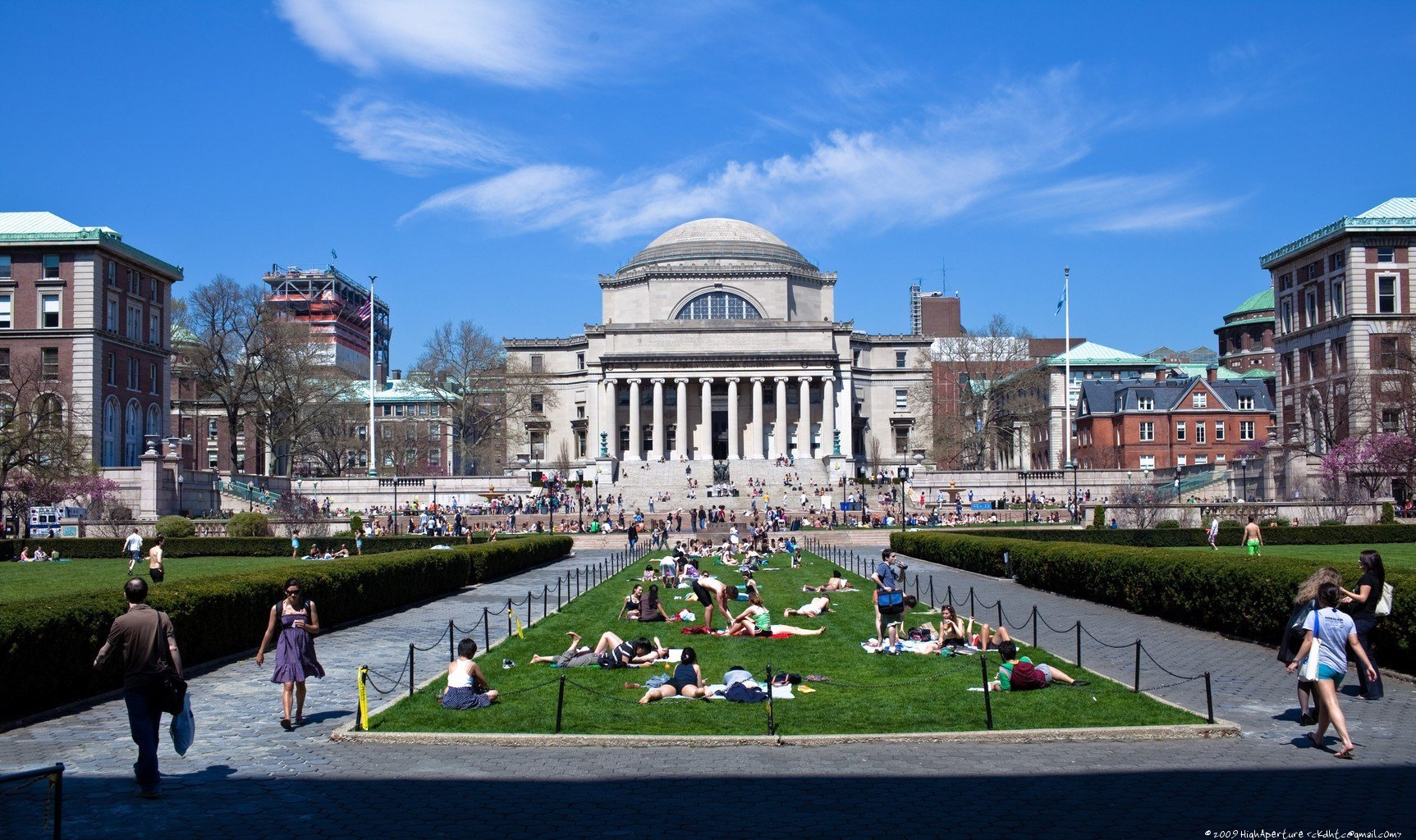 Princeton University Pre Med
