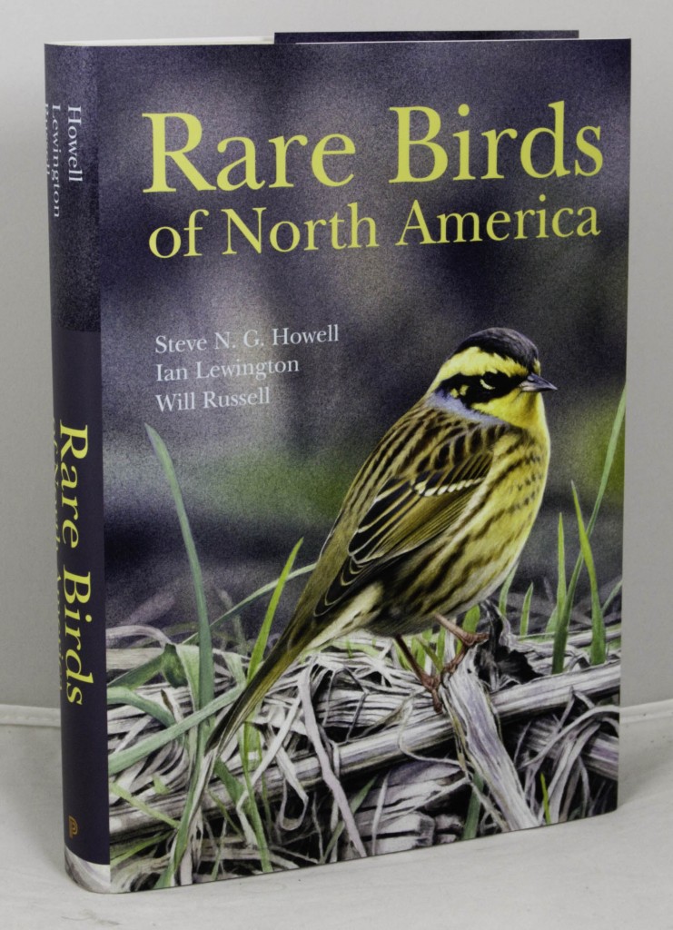 Rare Birds Of North America