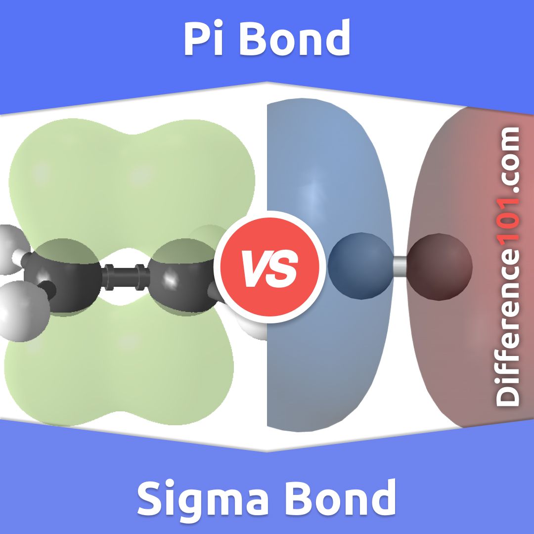 Unveiling Sigma and Pi Bonds: An Overview