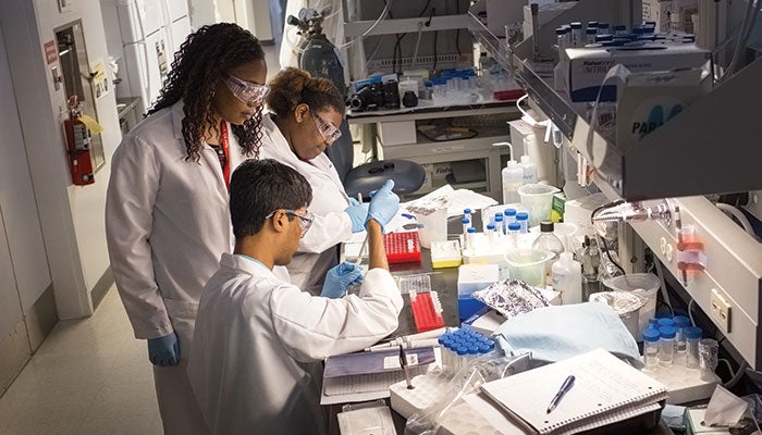 Summer Research Programs For Undergraduates