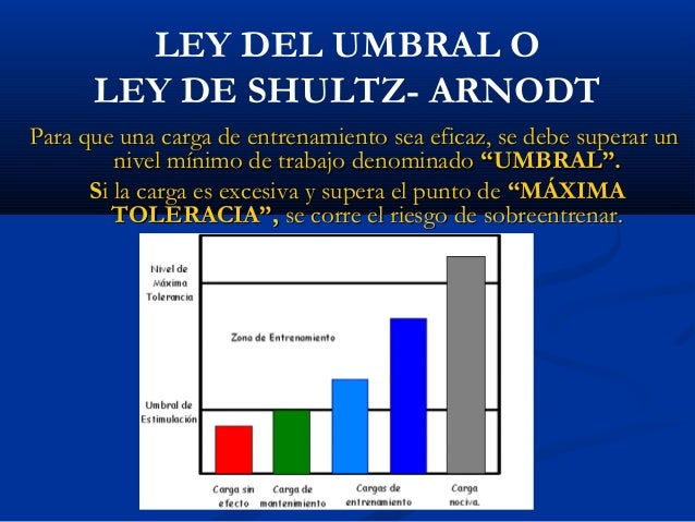 Tema 2 Las Leyes Y Los Principios Del Entrenamiento Tema 2 Las Leyes Y Los Principios Del Entrenamiento