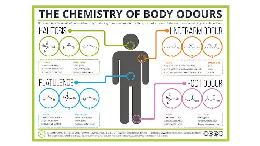 The Abc Of Binary Molecular Compounds Unraveling The Secrets Of Naming The Abc Of Binary Molecular Compounds Unraveling The Secrets Of Naming