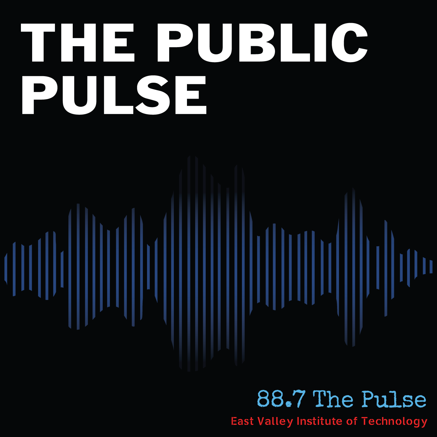 The Pulse Podcast