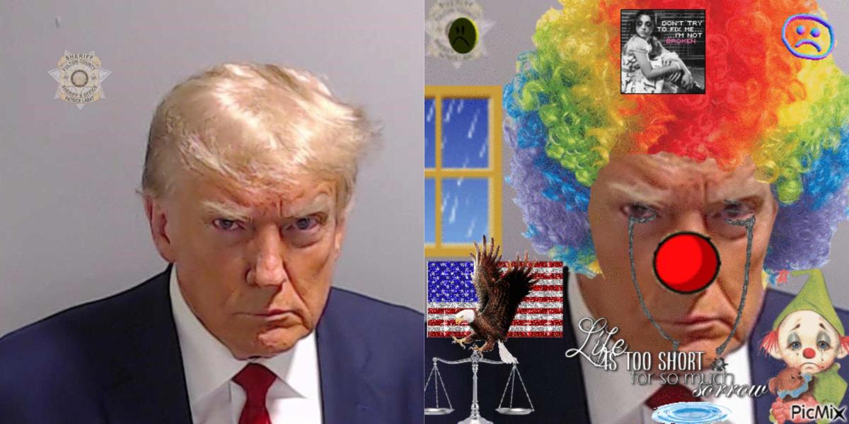 The Stefanie Gurzanski Onlyfans Photo That Launched A Thousand Memes