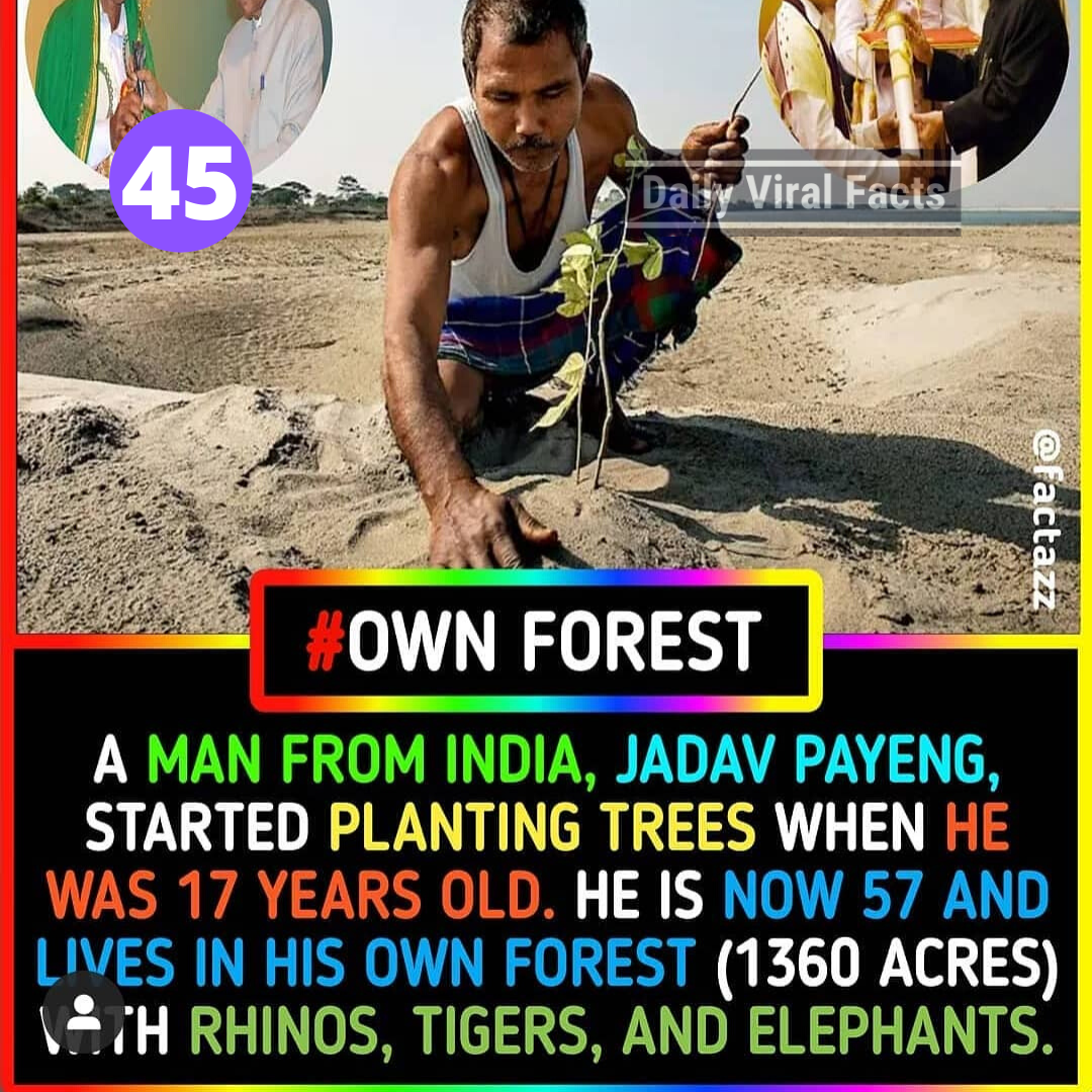 Top 5 Amazing Facts That Will Leave You One News Page Video Top 5 Amazing Facts That Will Leave You One News Page Video