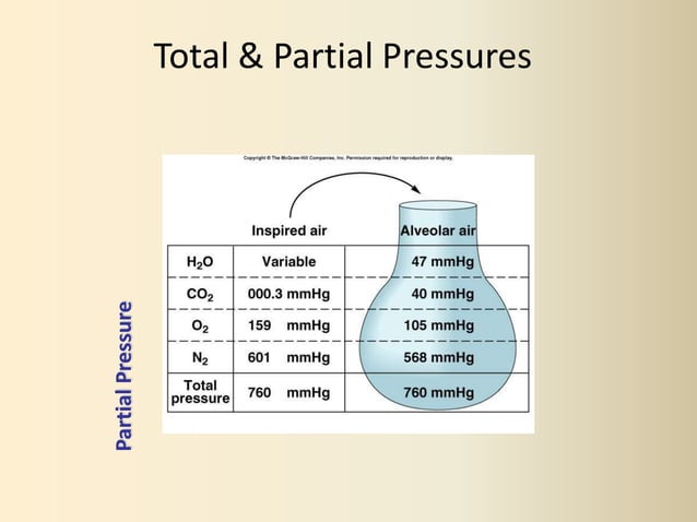 Understanding Gas Dissolution And Transport In Human Physiology Understanding Gas Dissolution And Transport In Human Physiology