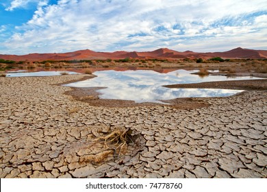 7 Ways to Source Water in a Desert